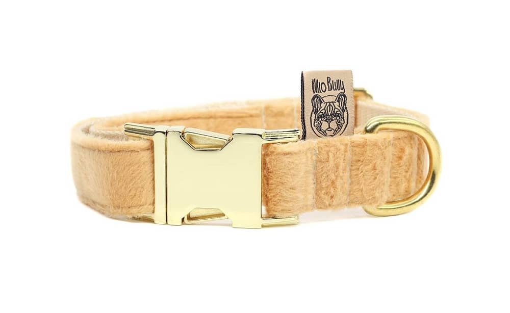 Mio Bully Halsband Classic Fox