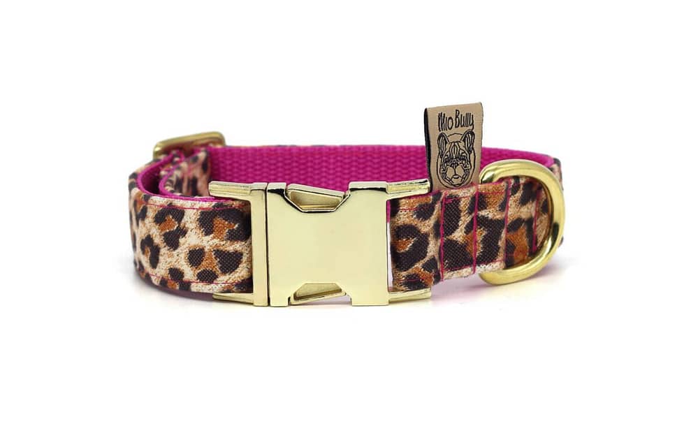 Mio Bully Halsband Classic Wild Cat