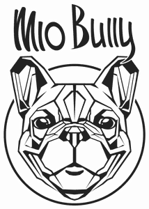 MioBully Logo transparent 500x356