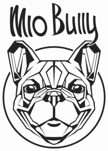 MioBully Logo transparent 500x356