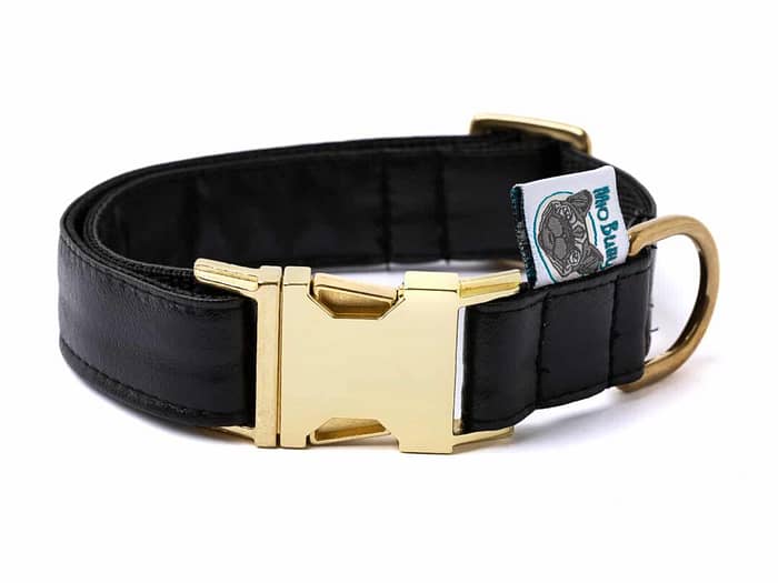 Mio Bully Halsband Mr Black 2