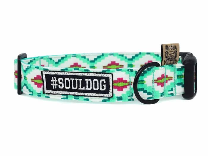 Mio Bully Halsband Basic Ibiza Mint #Souldog
