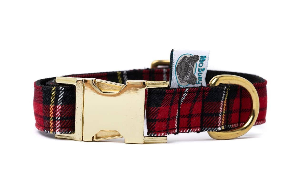 Mio Bully Halsband Scott