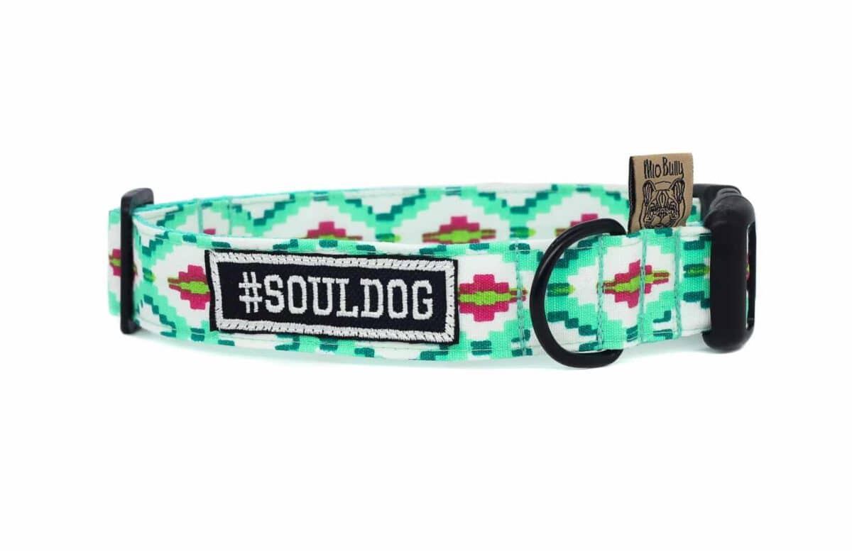 Mio Bully Halsband Basic Ibiza Mint #Souldog